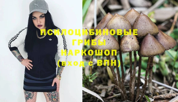 гашишное масло Богданович