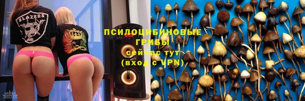 MDMA Богородицк
