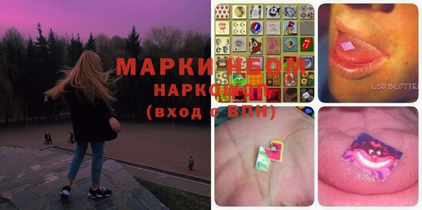 ГАЛЛЮЦИНОГЕННЫЕ ГРИБЫ Белокуриха