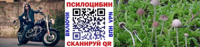 darknet Telegram ссылка на мегу сайт Красновишерск Галлюциногенные грибы ЛСД